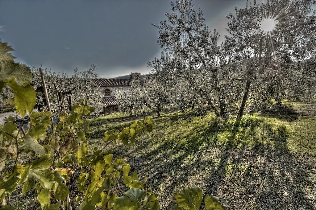 Agriturismo Sottotono Villa Carmignano Farm stay