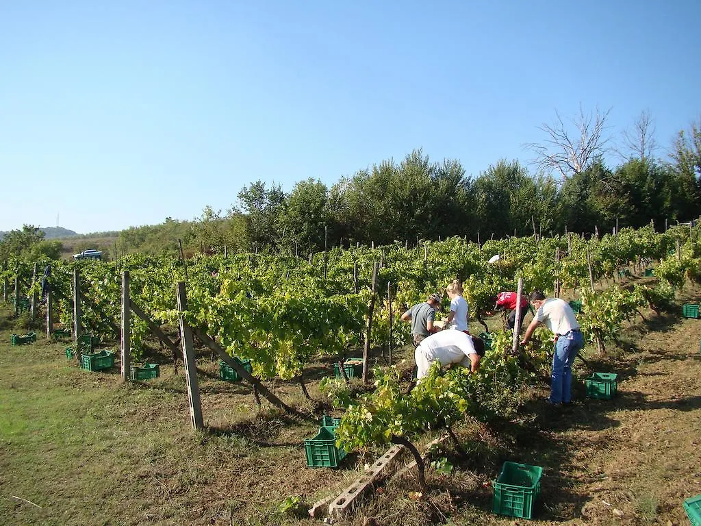 Agriturismo Sottotono Villa Carmignano 0*,