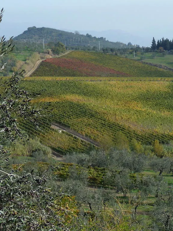 Agriturismo Sottotono Villa Carmignano 0*,  Italy
